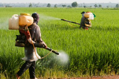 I pesticidi e il loro impatto sulla salute, un incontro a San Lazzaro