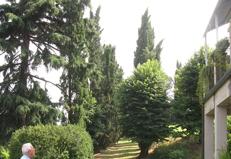 Naturalmente Imola, una festa per il verde e la floricoltura